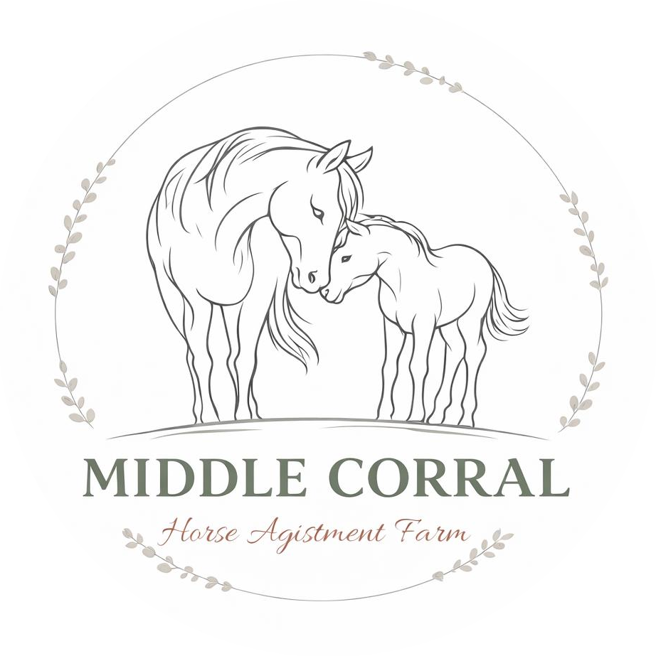 Middle Corral