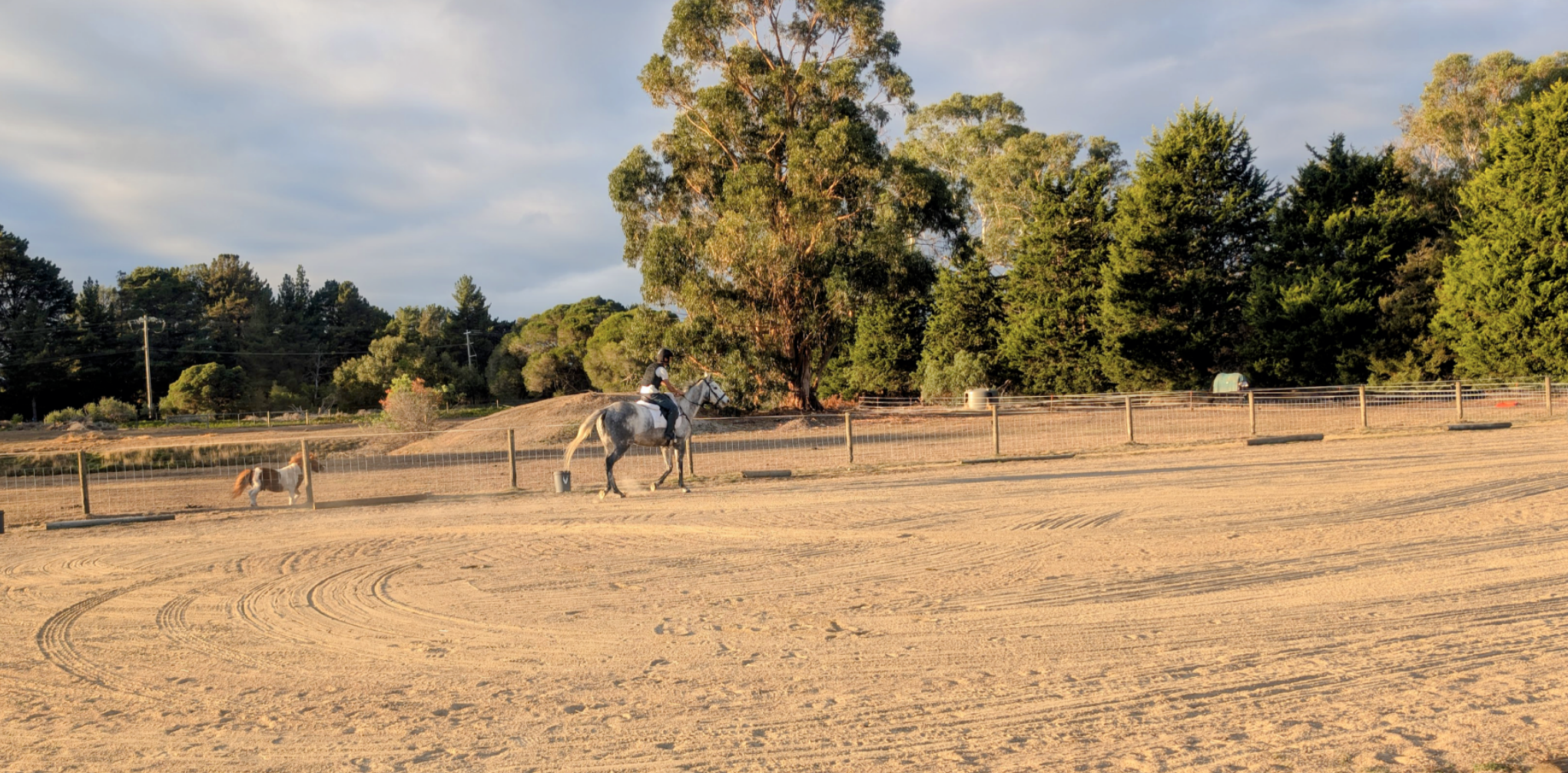 Dressage Arena at Middle Corral