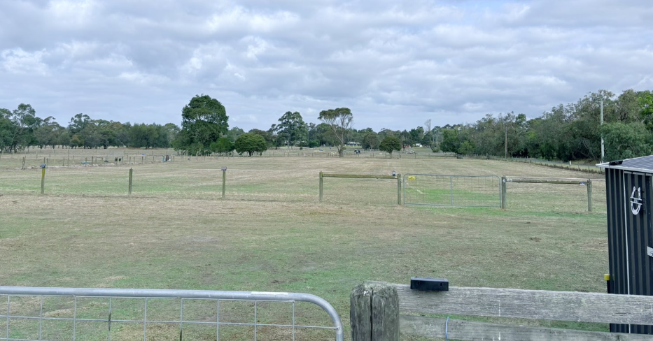 Big Paddock