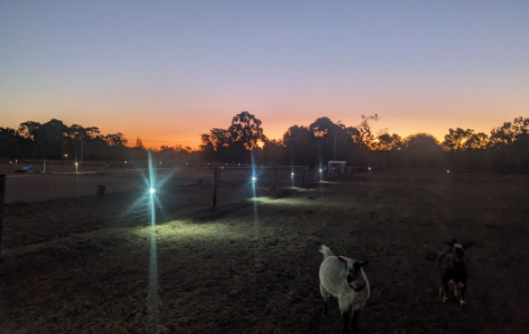 Evening at Middle Corral