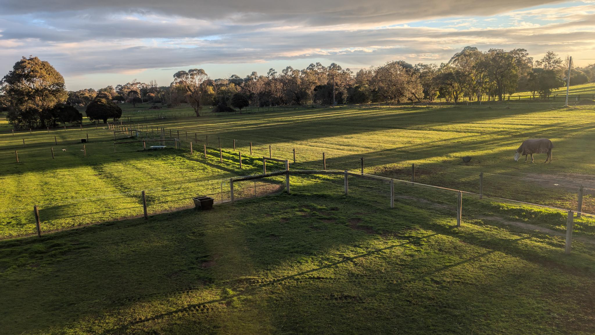 Green Paddocks